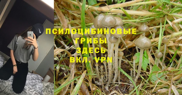 мескалин Алзамай
